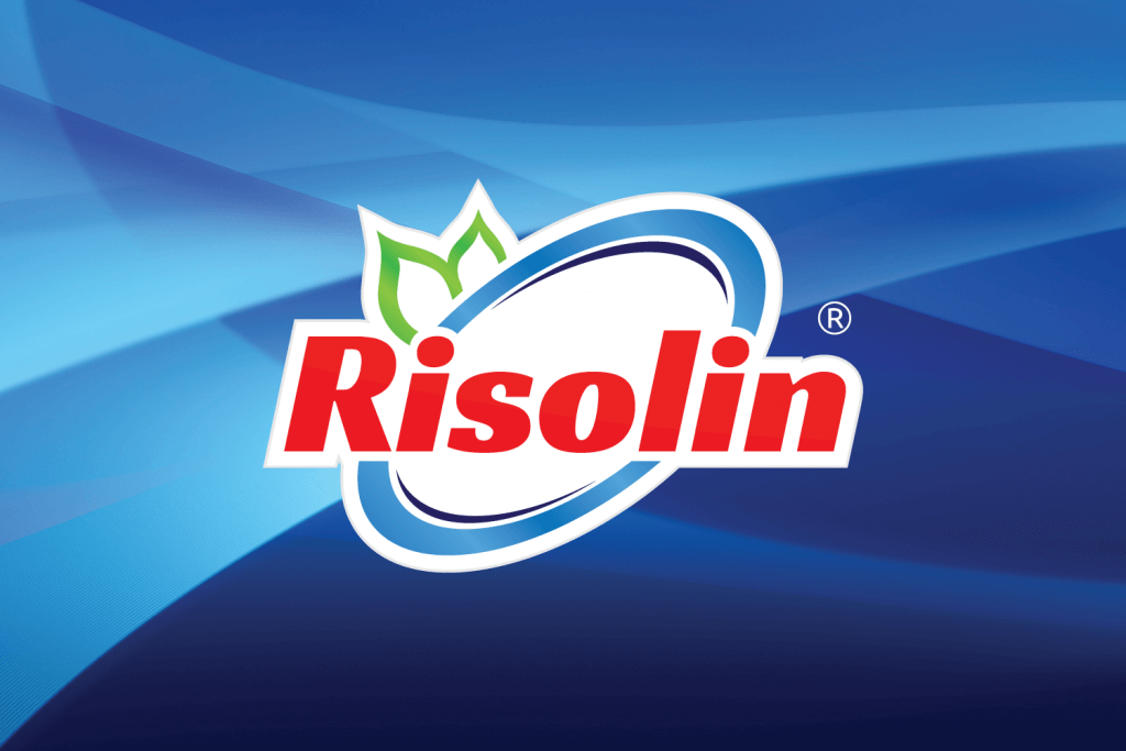 Risolin projesi