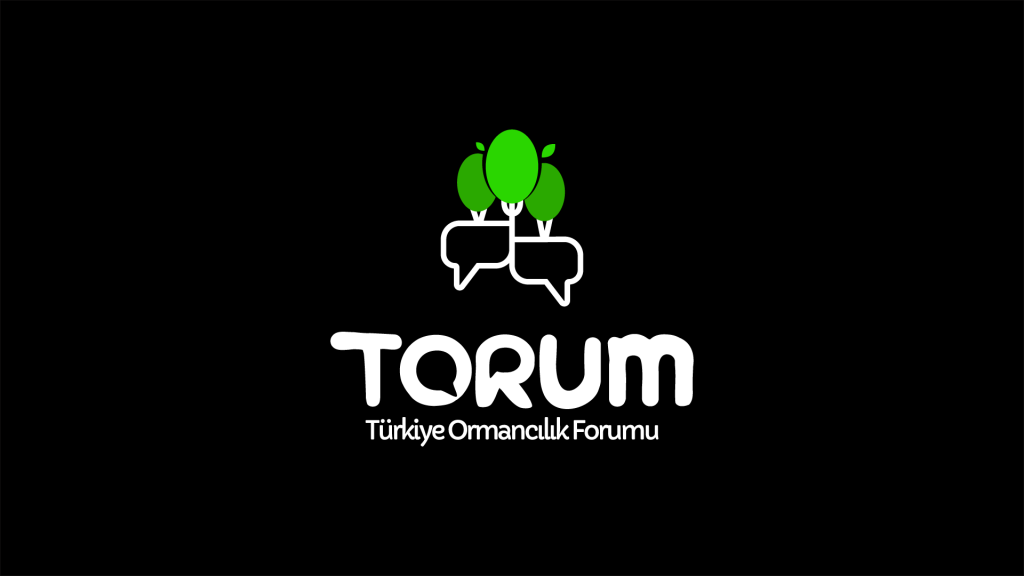Torum projesi